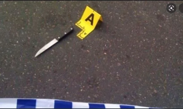 The minor from Peja stabbed a person, struck him in his hand