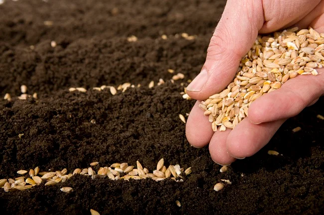 UN: Prices of Higher Food in the Last 60 Years at Risk of Social Riots · Global Voices