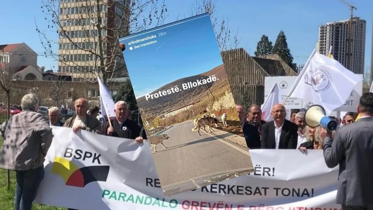Le porte-parole de Kurt compare les syndicalistes qui protestaient contre les chiens errants