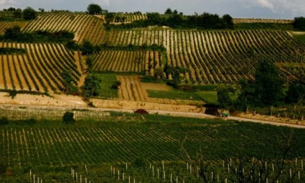 Counterfeited the act, through which it acquired 13 hectares of state land, 77-year-old Peja arrest