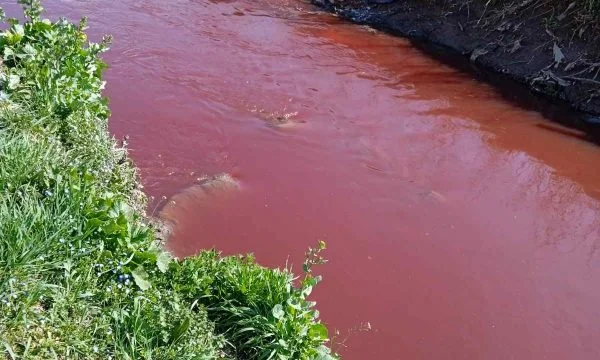 Allarme: Il fiume nel villaggio di Gjilan è pieno di sangue