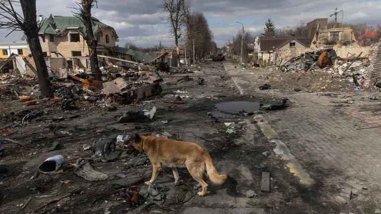 Ruined cities and tortured civilians... 10 developments in the day so far from Ukraine