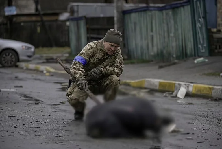 World's anger with the Butch massacre, sharp reactions to Russian cruelty