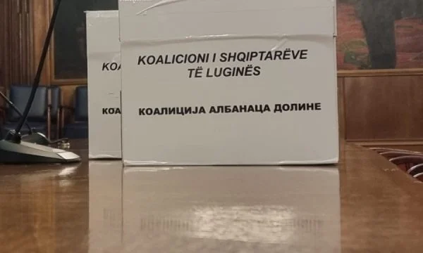 Elections in Serbia: Here's the result of Albanians and other parties
