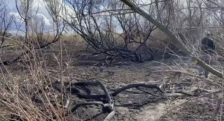 Cocket remains and a man's skull near Red Field