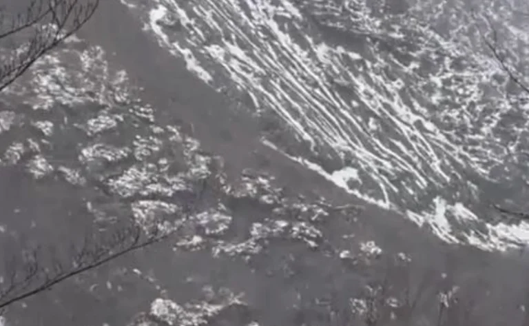Land slide blocks “The Arber Path (VIDEO)