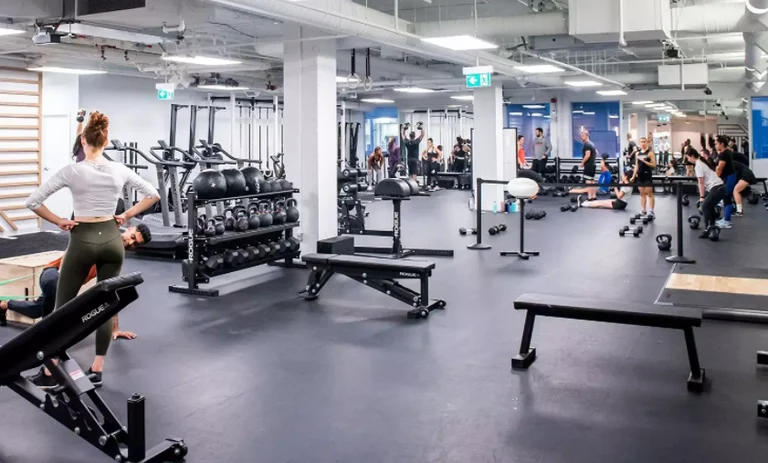 Five minor girls beat themselves in a Podujevo gym