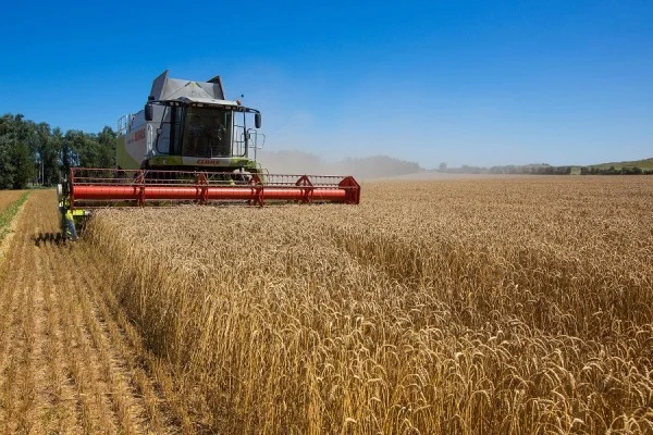 Ukraine may not export wheat this year, says a French government source