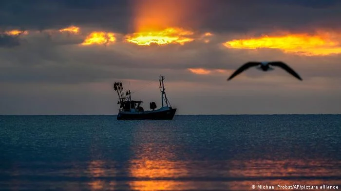 Cómo los buques corren ilegalmente en el mar sin castigo
