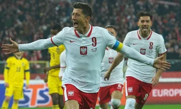 Polen macht keinen Fehler, nimmt Ibrahimovics Schweden nach Hause