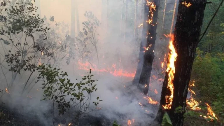 Brigada e Zjarrfikësve sot ka pasur 30 thirrje për zjarre në rajonin e Prishtinës