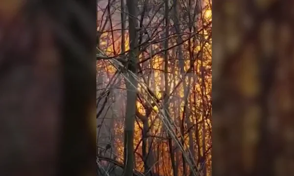Zjarr në disa fshatra të Kamenicës, një i dyshuar
