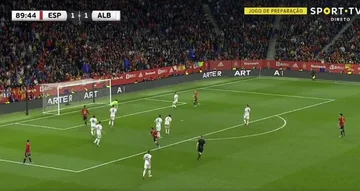 Olmo markiert Albanien in den letzten Minuten “Elektrizität” Fans im Stadion