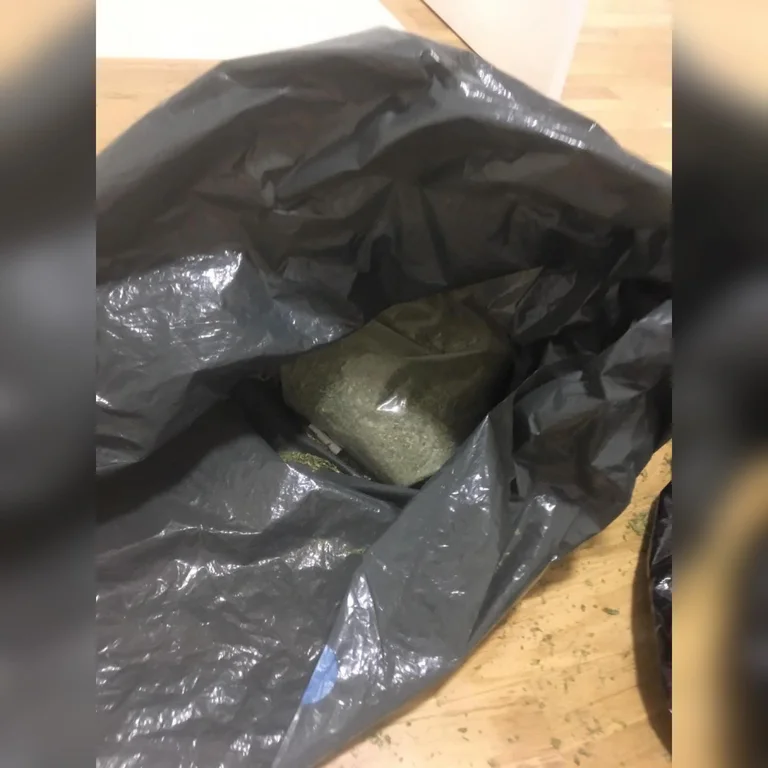 Operacioni nga antidroga vë në pranga 5 persona, sekuestrohet një sasi e drogës