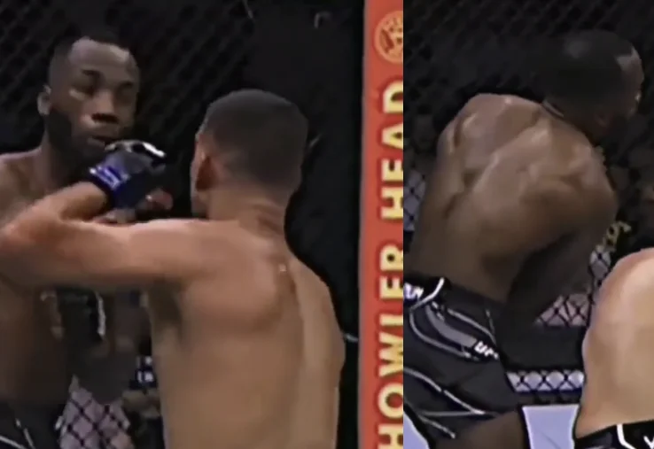 The scariest combination in UFC, slap and kick in the jaw, video speaks for itself