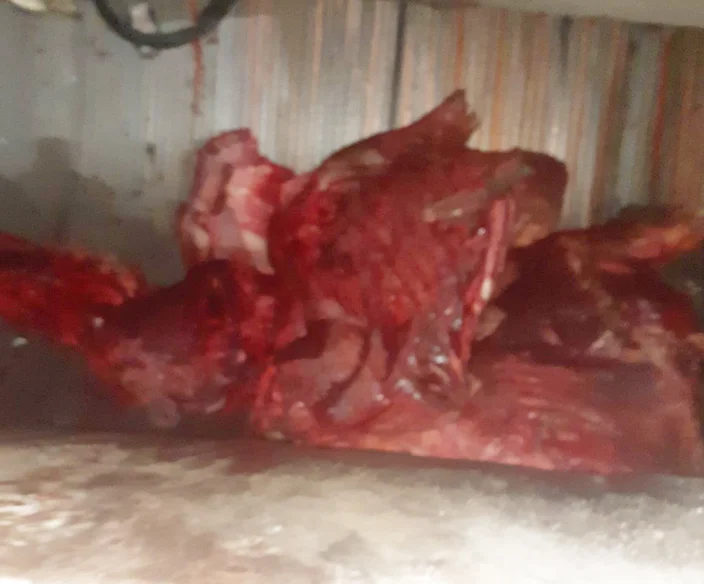 Skenderaj: Destroying 300 kg of rotten meat