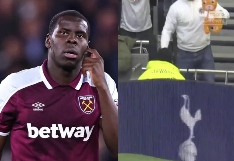 Gli ammiratori di Tottenham mostrano orgoglio battendo una plastica “