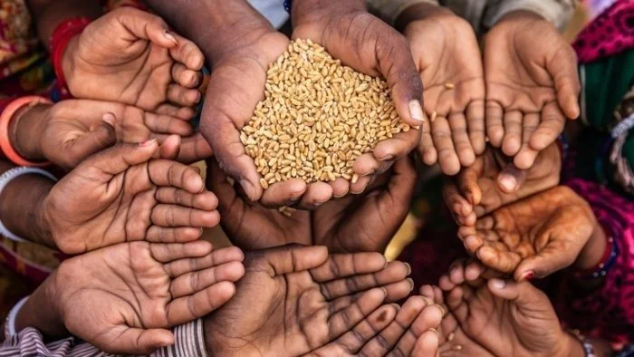 American expert alert: 40 million people will suffer hunger because of war