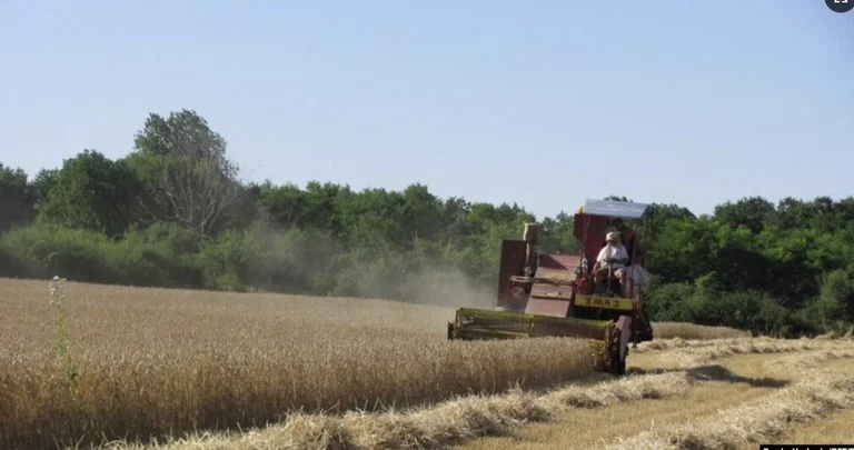 Northern Macedonia continues ban on flour, oil export