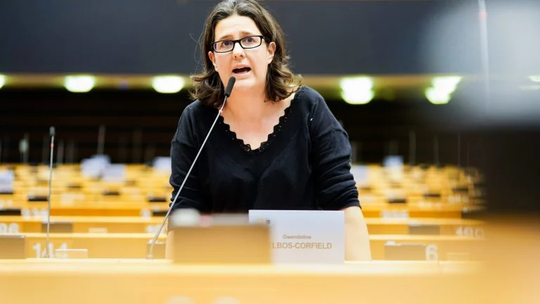 French Eurodeput: Serbia delivered dangerous message s '%s' imposing Russian sanctions