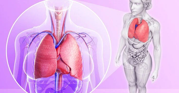 Lung Detox: 7 steps to clean lungs naturally