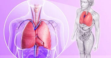 Lung Detox: 7 steps to clean lungs naturally