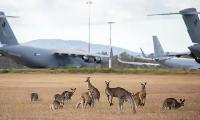 America sends 3,000 troops to Australia as danger alert from China