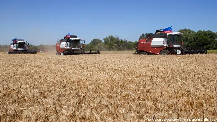 Economic capacity, Ukraine's problems