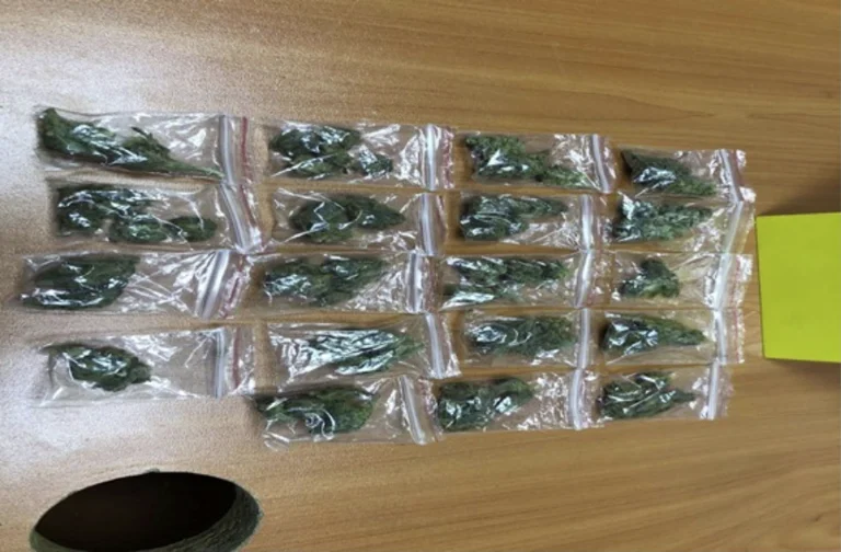 Ils trouvent 19 sacs de marijuana, 22 ans libérés avec une procédure policière régulière