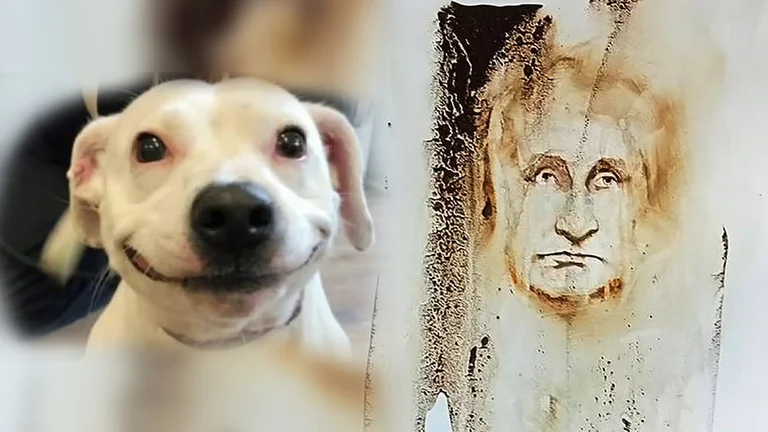 L'artiste utilise la merde de chien pour le portrait de Poutine