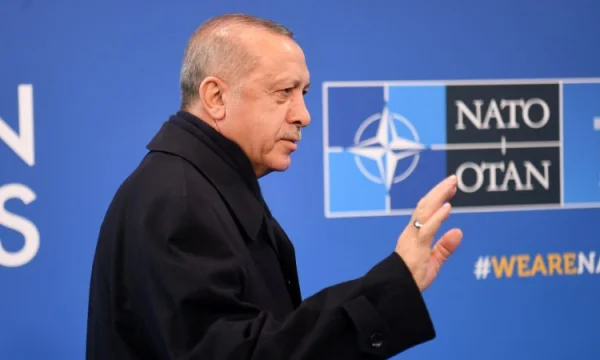 Erdogan i nervozoi me deklaratën për Kosovën në NATO, Vuçiq: Nuk protestojmë