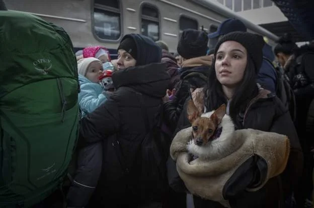 Ikje masive e qytetarëve nga Ukraina, UNHCR: Kriza më e madhe që nga Lufta e Dytë Botërore