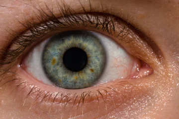 This information about human vision can shock you a little, but it's real!
