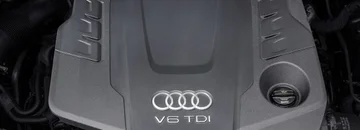 V6 auditorías TDI ahora pueden trabajar con aceite de planta