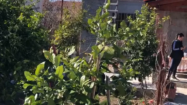 Vlora: 46 Jahre alt, die nach 8 Tagen der Suche in der Wohnung getötet wurde