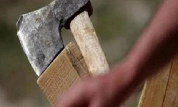 E goditi babain me bisht sëpate në shpinë, prokuroria kërkon paraburgim për gjakovarin