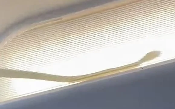 Aeroplani bën ulje emergjente, pasagjerët e panë gjarprin brenda