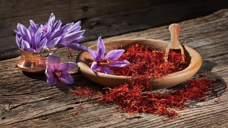 Vetëm një gram i shafranit për mëngjes e përmirëson kujtesën