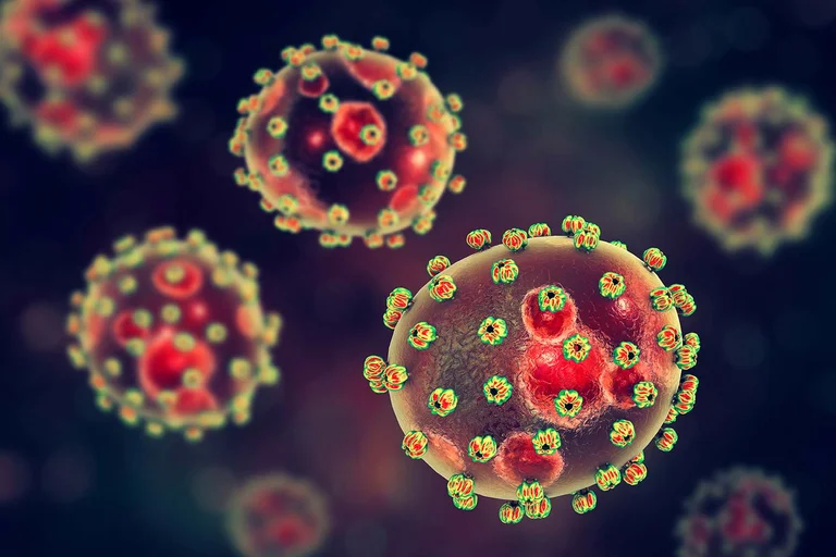 Pandemia e radhës: Ethet e ‘Lassa’? Dy persona në Angli infektohen me virusin e ri