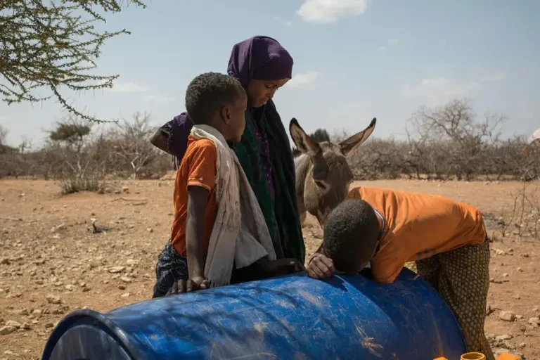E dhimbshme, përfshihet nga thatësira shteti afrikan