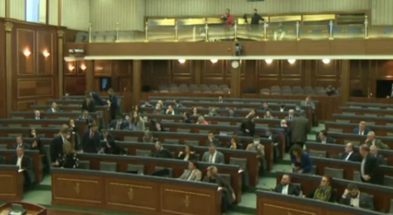 Veç 30 deputetë në sallë, dështon rezoluta kundër shtrenjtimit të rrymës