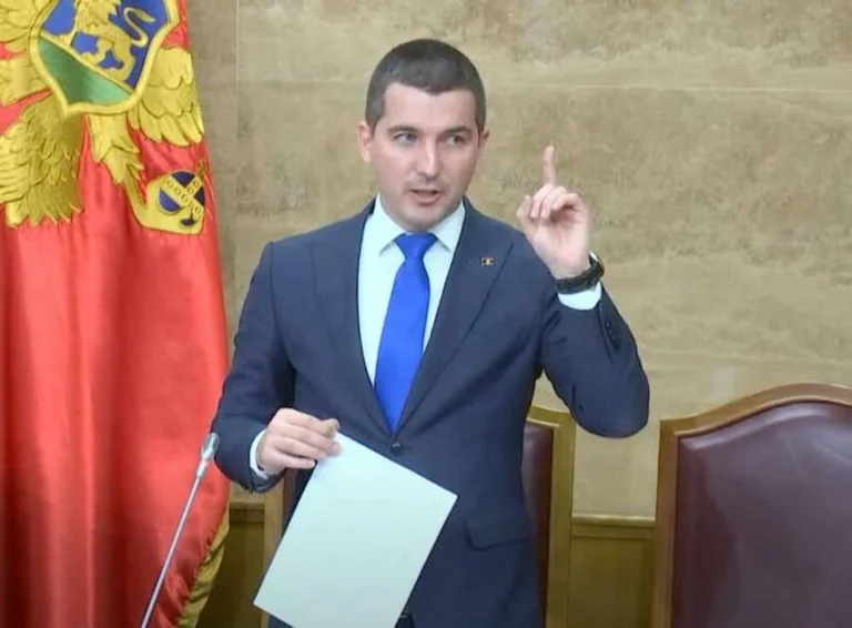 Shkarkohet kryetari i Kuvendit të Malit të Zi
