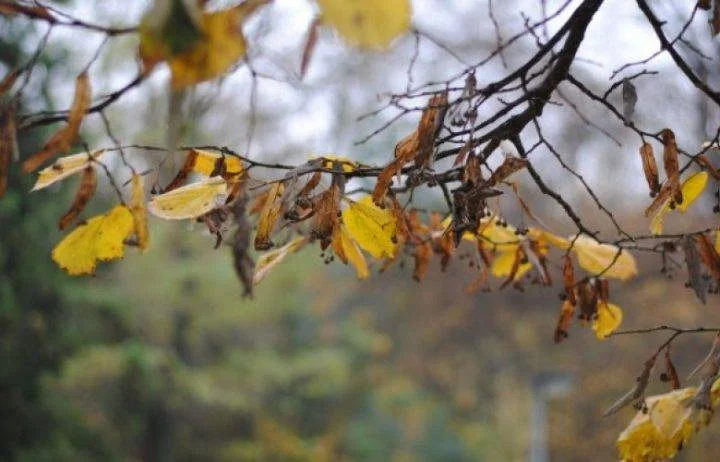 Ndreqet pak moti, këto janë temperaturat sot