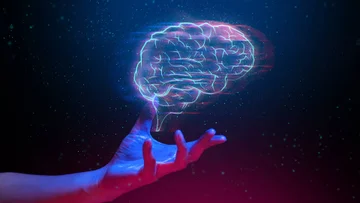Habits that lower the level of human intelligence