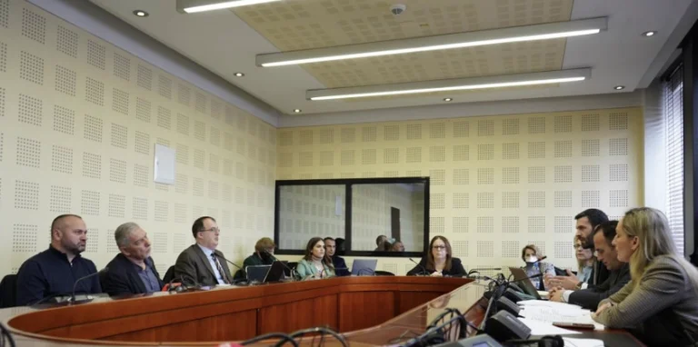 Deputetja e LDK-së thotë se auditori ka gjetur shkelje në blerjen e librave