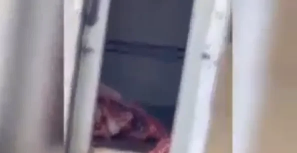 Scandalous: Ein Haustier in Mitrovica trägt das Fleisch in das Doppel des Vans