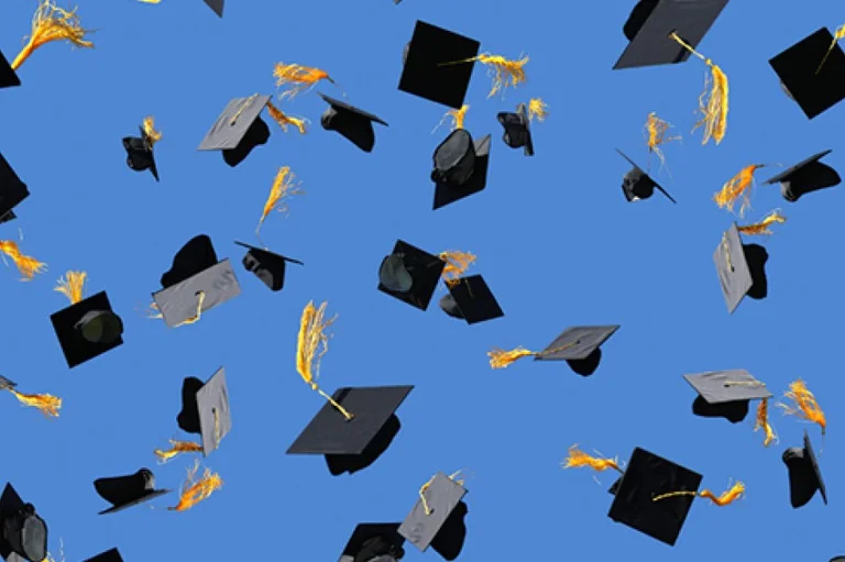 ¿Por qué no puedes conseguir un trabajo después de terminar tus estudios?
