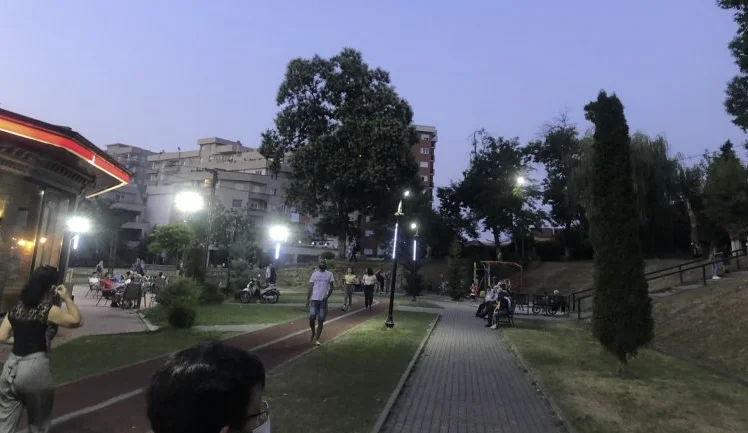 Prizren: The cut trees in the park gave it to a private company, the prosecution makes a decision against the official