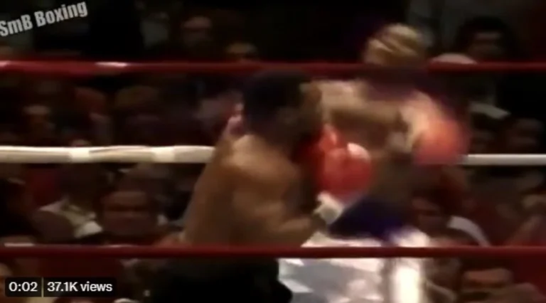 The hypnotizing images of the slow shoot of Tyson defending themselves before the attacks are poetic
