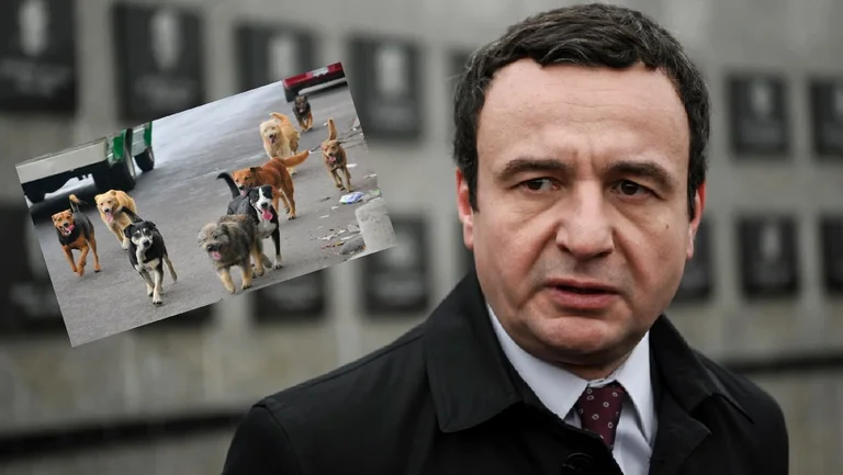 Kurti: We will also seek help from foreigners in treating stray dogs